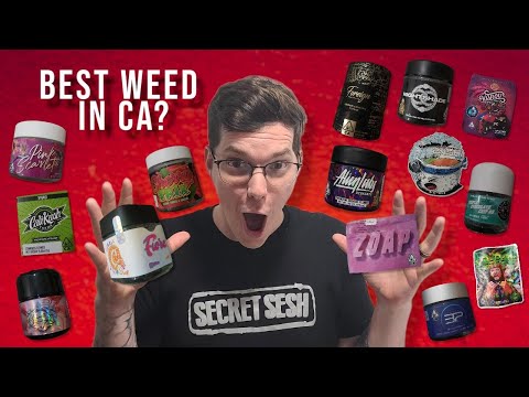 JUDGING THE MOST HYPE CANNABIS BRANDS┃Greenwolf Zalympix Judges Kit! *BEST OF THE BEST*