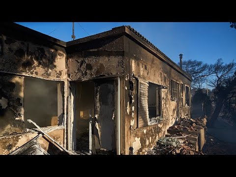 Waldbrände in Griechenland zwingen zur Evakuierung auf dem Festland und den Inseln