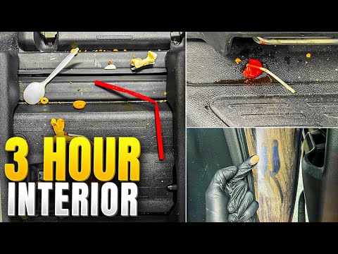 Fastest Way to Detail a Filthy Family Car | Step By Step Interior Detail