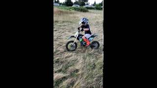 Mototec 36v 1000 watts