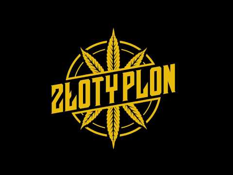 Kamil MC  Prawdziwość