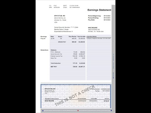 Paystubx: Paystub Maker
