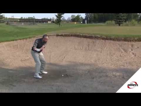 Alien 2 Wedge Multi Lie Wedge