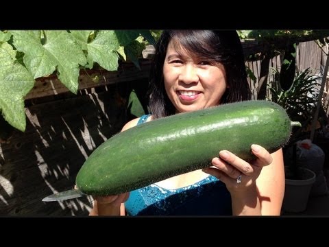 Vietnamese Food Recipes-How To Make Winter Melon Soup Canh Bi Dao