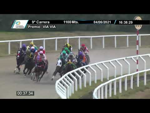 210604 c09 - NUMBERONE - HIPODROMO LAS PIEDRAS
