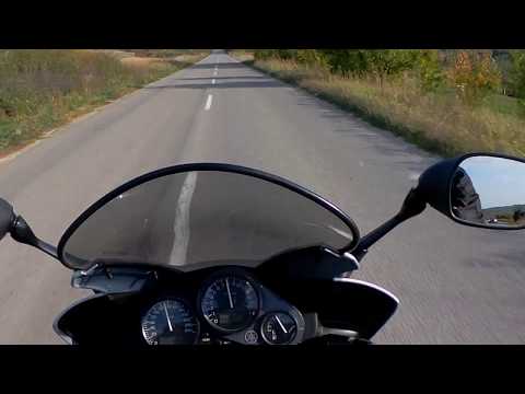 Crveni Cot 14.10.2017