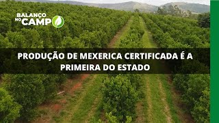 Miniatura do vídeo