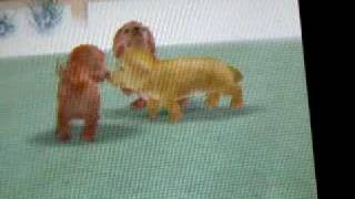 Nintendogs Help and Advice: All Breeds of Dogs!