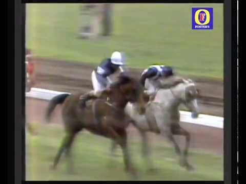 1985 VRC Sterling Stakes _ Race 6  ( Melb Cup Day )