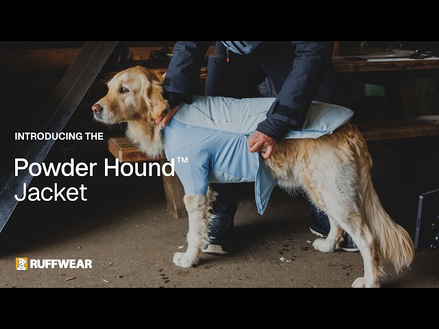 Ruffwear Powder Hound Waterproof Insulated Jacket