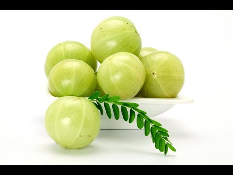 আমলকীর বিস্ময়কর গুনাগুণ- Amazing benefits of Amla