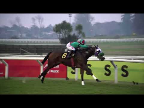 230624 c08 -  CATRI - HIPODROMO DE MAROÑAS