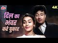 Dil Ka Bhanwar Kare Pukar मोहब्बत की एक अमर धुन Rafi Dev Anand 4K 