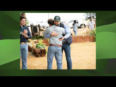 BOIADA 100% JOVEM DE 21@ RENDE BÔNUS DE R$ 180 POR CABEÇA NO MS