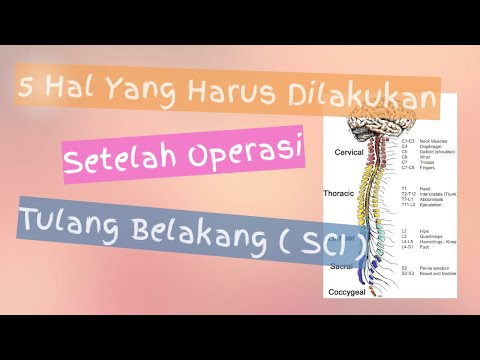 5 Hal Yang Harus Dilakukan Setelah Operasi Tulang Belakang (SCI)/5 things you must do after surgery