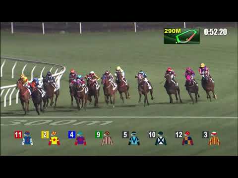 12/1/2022 (334) Smart Idea- H Bentley