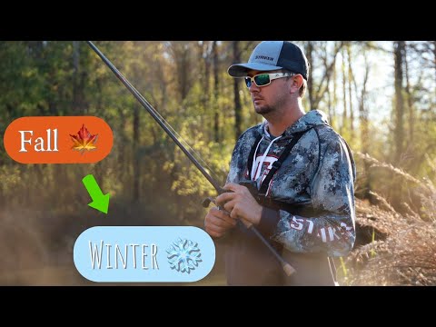 Secret to Catch Fish Now | The Truth Series Episode 16