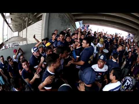 "Camisa 33 - Leão de AntÃ´nio Baena - 09-01-2016" Barra: Camisa 33 &bull; Club: Remo