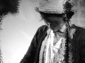 birds of passage (to wander slow with me) - Dear ...
