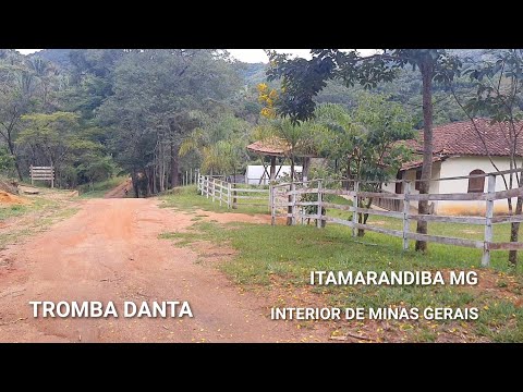 INTERIOR DE MINAS GERAIS | PARQUE ESTADUAL DA SERRA NEGRA, ITAMARANDIBA MG, DOMINGO NA ESTRADA 