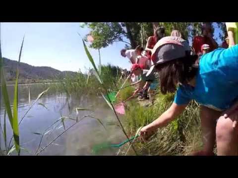 "La Laguna encantada" 26 junio 2016, Cuenca