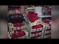 NorCal Holiday Memories A Look Back At Tickle Me Elmo Mania In 1996