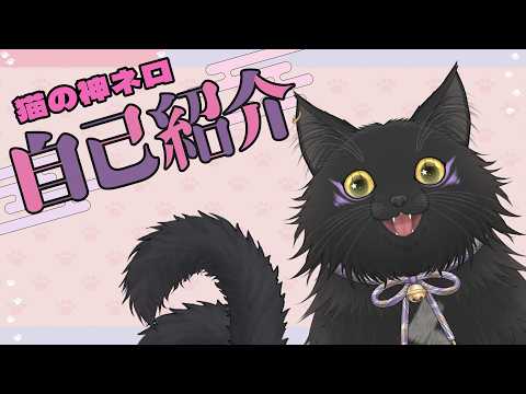 【吾輩が黒猫に！？】