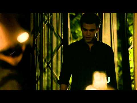 The Vampire Diaries 1x08 ** Best Scene ** | Angry Stefan For Damon |
