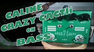 Video thumbnail for Caline CP-20 Crazy Cacti Overdrive (Bass Demo) by Jo Bass