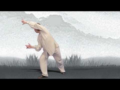 Wu Qin XI - Qi Gong Para la Salud