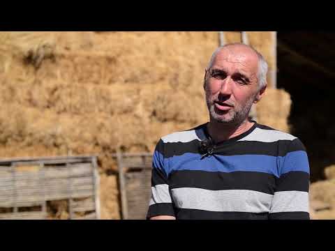 Naša priča ep. 115 03.11.2017.