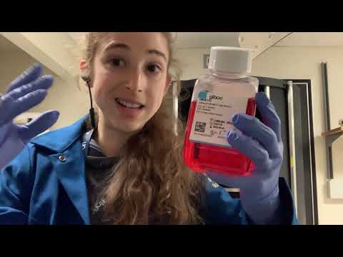 Mammalian cell culture media basics