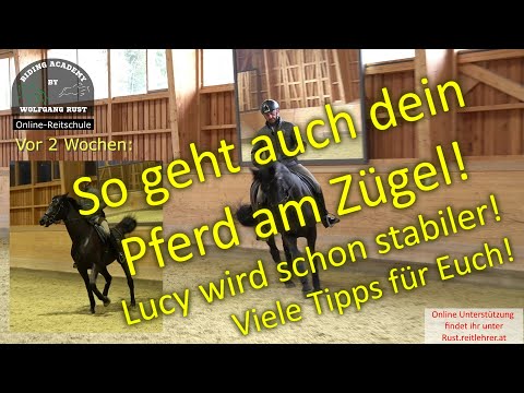 Help, my horse won't go on the bit! Learn how to position, bend, and ride your horse on the bit.