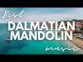 The Best Mandolin Dalmatian Music Dalmatian Music