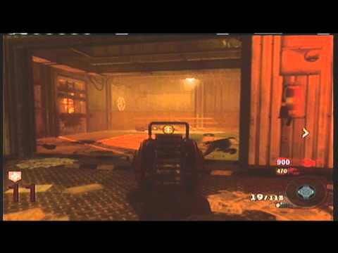 Black Ops Defending your Perks Against Monkeys on Ascension