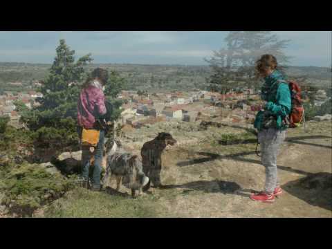 Immer UNTERWEGS im Wechsel der Welten