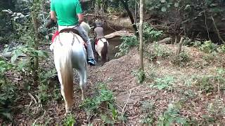 preview picture of video 'Safari in Kolumbien mit Erich Viajero - Safari en Colombia'