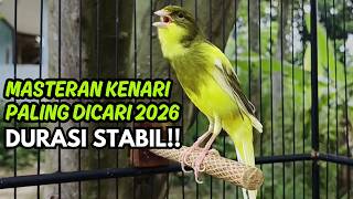 Download lagu Pancingan Kenari Jitu Cepat Respon! Bunyi Suara Kenari Gacor Jernih & Stabil Ngeroll Panjang!! mp3 Download lagu Pancingan Kenari Jitu Cepat Respon! Bunyi Suara Kenari Gacor Jernih & Stabil Ngeroll Panjang!! mp3