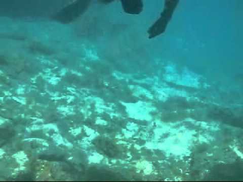 Buceo en Playa Las Canteras - Las Palmas de Gran Canaria.