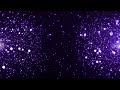 Bright Shimmering Dust Flickering Particles Light Background Purple Video
