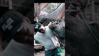 Download lagu MA TINGGORO TEDONG - TRADISIONAL FUNERAL RAMBU SOLO TORAJA mp3