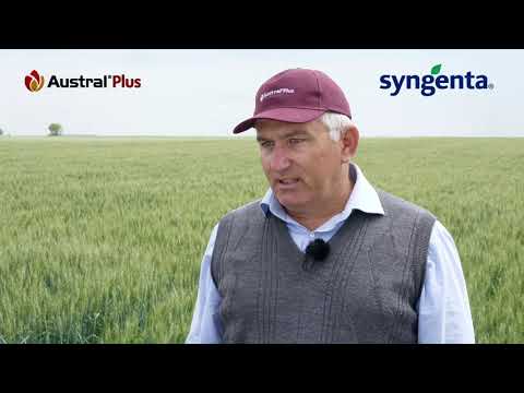 Testimonial Austral® Plus - Nagy Iuhasz Mihai