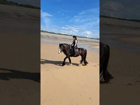 Lady ⭐️ Show Quality and Super hacking cob ⭐️ - Image 2