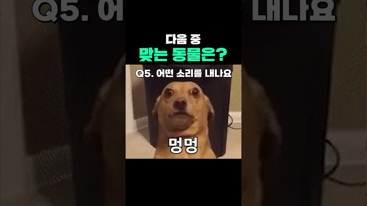 다음 중 맞는 동물은?