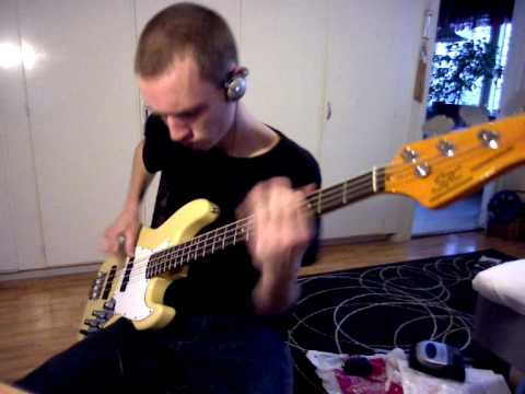 Desecration Smile - Red Hot Chili Peppers - Bass Cover
