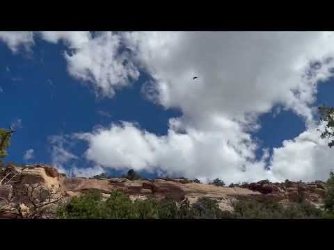 Chris Biro with students in Moab, UT April 2025.