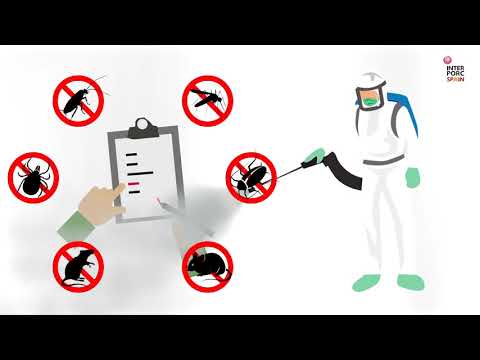 Fotograma del vídeo: Medidas de bioseguridad en granja