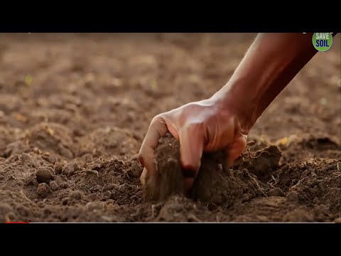 Soil Body - Soil Song - Message From Sadhguru #Sadhguru