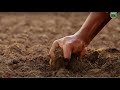 Soil Body - Soil Song - Message From Sadhguru #Sadhguru