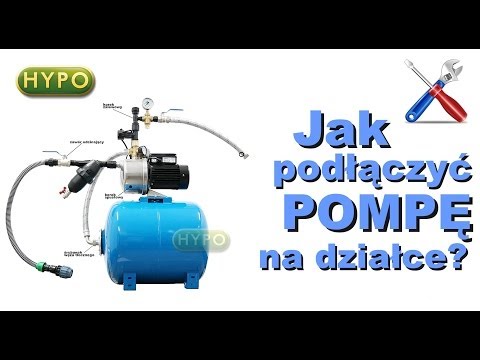 Zrobić wszystko znęcających mały kutas Małe pagórkowate członkowie